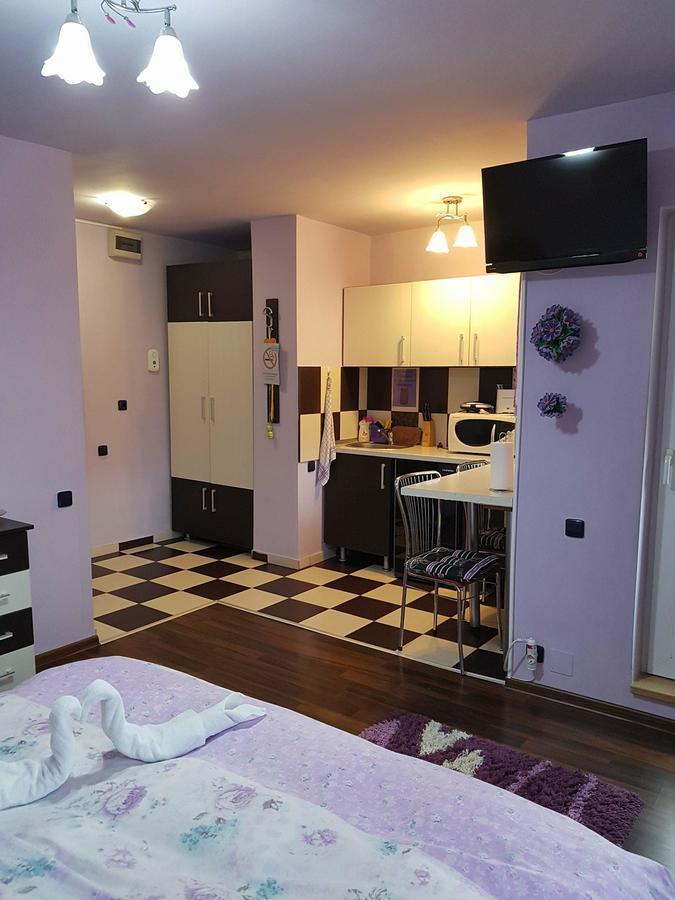 Garsoniera Cristina Apartment Băile Felix Екстериор снимка