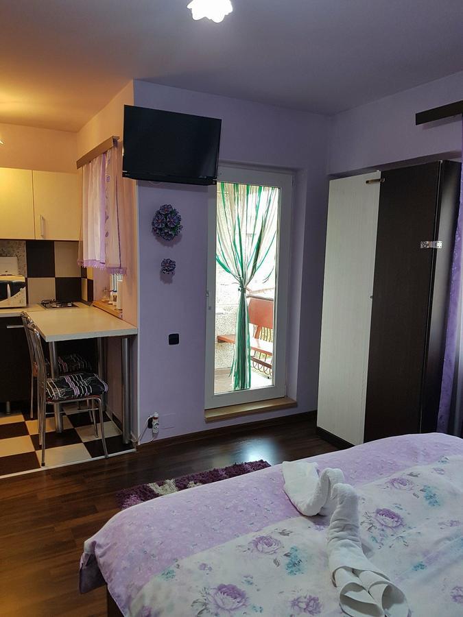 Garsoniera Cristina Apartment Băile Felix Екстериор снимка