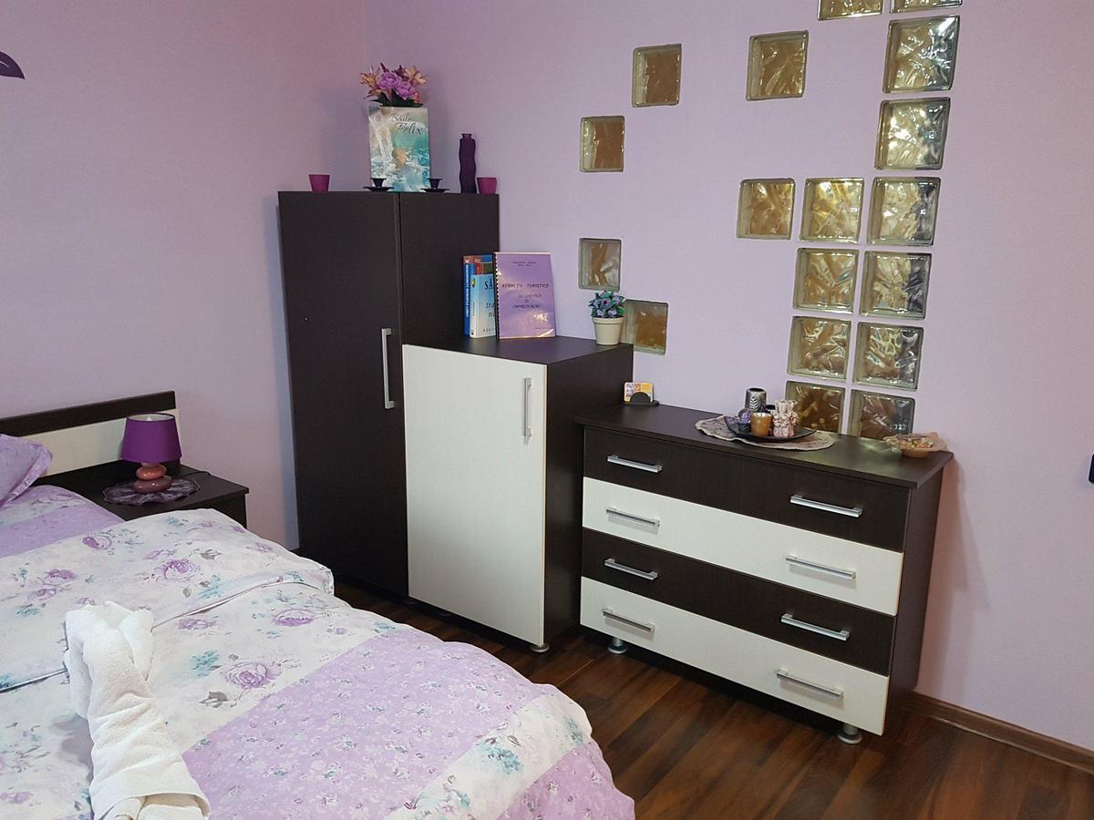 Garsoniera Cristina Apartment Băile Felix Екстериор снимка