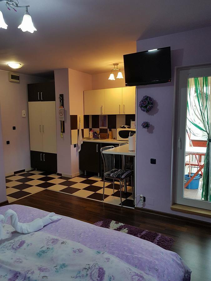 Garsoniera Cristina Apartment Băile Felix Екстериор снимка