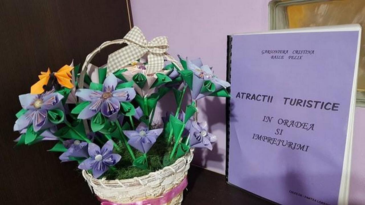 Garsoniera Cristina Apartment Băile Felix Екстериор снимка