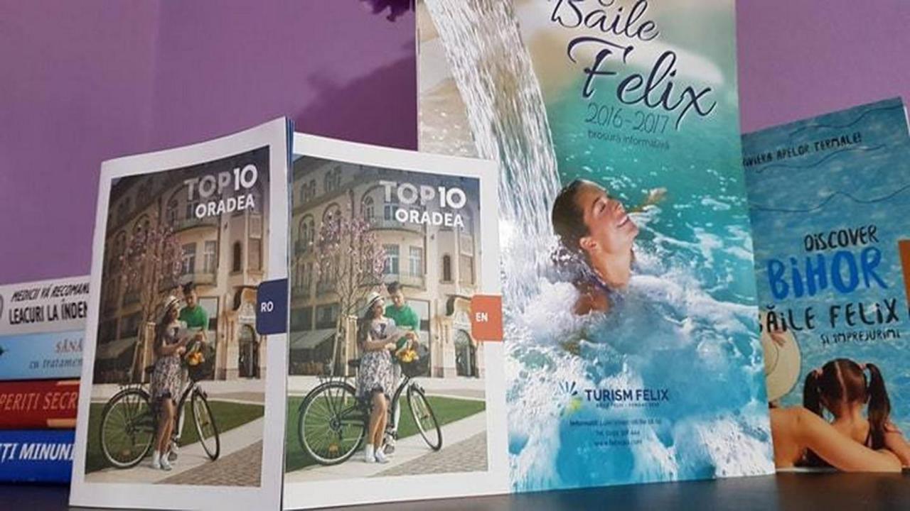Garsoniera Cristina Apartment Băile Felix Екстериор снимка