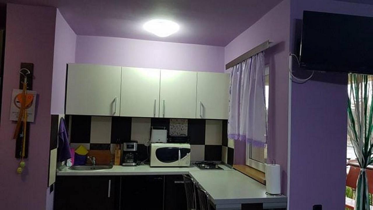 Garsoniera Cristina Apartment Băile Felix Екстериор снимка