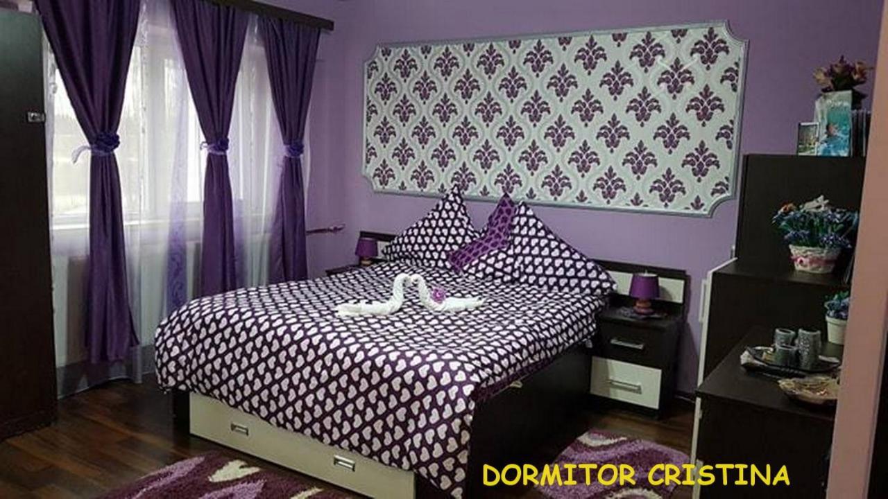 Garsoniera Cristina Apartment Băile Felix Екстериор снимка